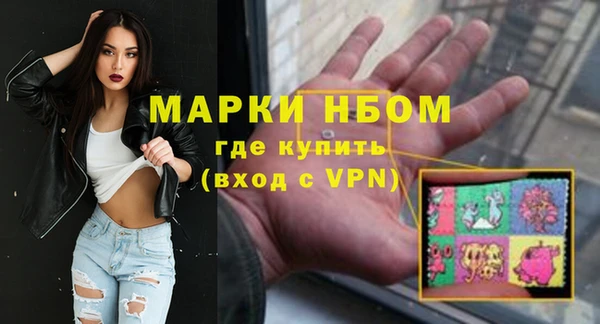 шишки Заводоуковск