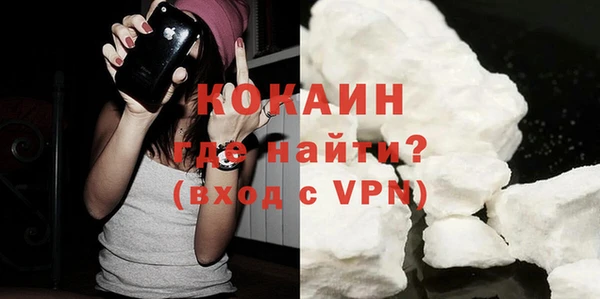 шишки Заводоуковск
