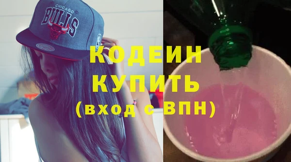 стафф Ельня