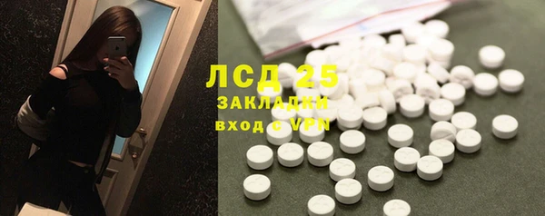 стафф Ельня