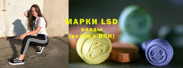 шишки Заводоуковск