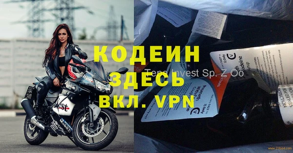 шишки Заводоуковск