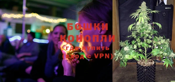 стафф Ельня