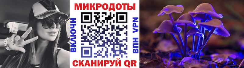 Галлюциногенные грибы прущие грибы  Купить закладки  Спасск-Рязанский 